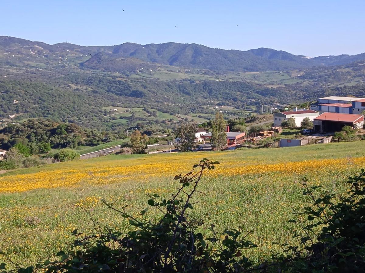 Pension La Sierra Cortes de la Frontera Buitenkant foto